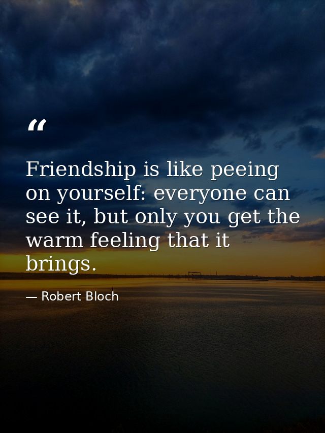 Friendship is like peeing on yourself: everyone can see it, but only you get the warm feeling that it brings. — Robert Bloch