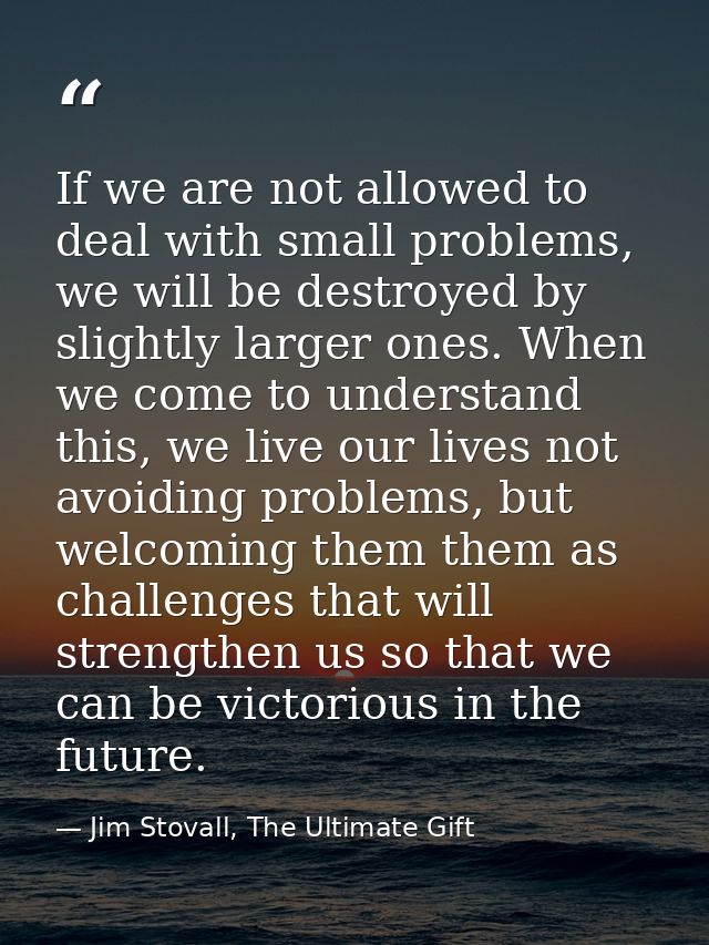 If we are not allowed to deal with small problems, we will be destroyed by slightly larger ones. When we come to underst — Jim Stovall, The Ultimate Gift