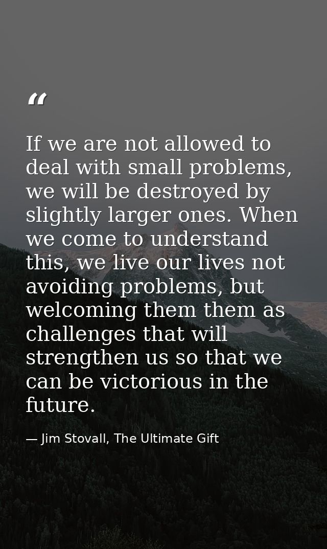 If we are not allowed to deal with small problems, we will be destroyed by slightly larger ones. When we come to underst — Jim Stovall, The Ultimate Gift