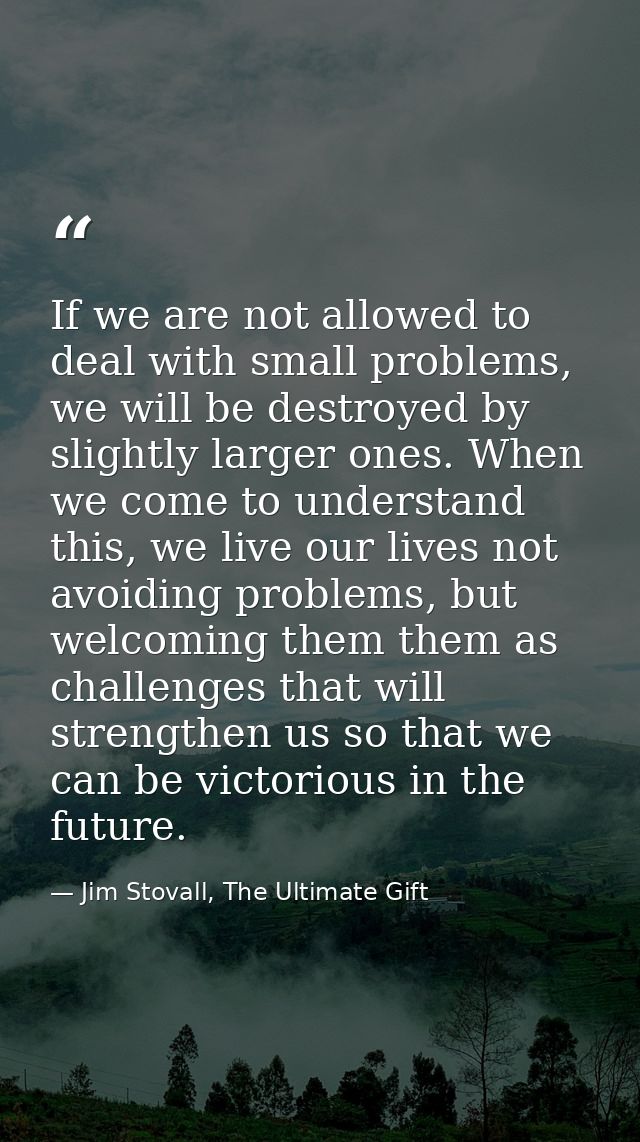 If we are not allowed to deal with small problems, we will be destroyed by slightly larger ones. When we come to underst — Jim Stovall, The Ultimate Gift