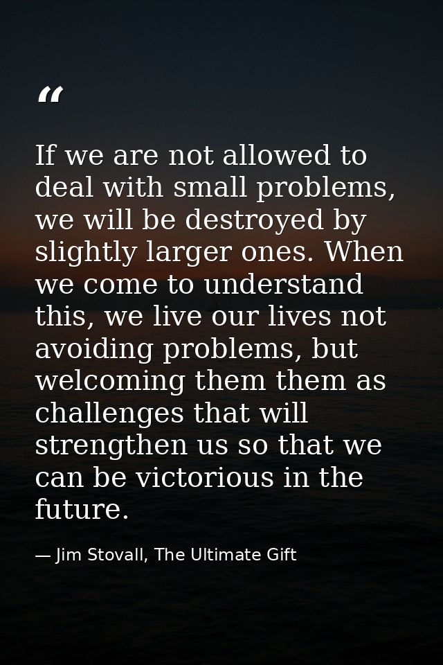 If we are not allowed to deal with small problems, we will be destroyed by slightly larger ones. When we come to underst — Jim Stovall, The Ultimate Gift