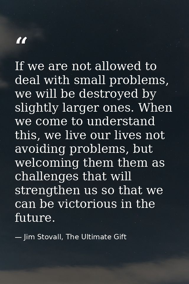 If we are not allowed to deal with small problems, we will be destroyed by slightly larger ones. When we come to underst — Jim Stovall, The Ultimate Gift