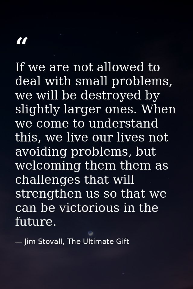 If we are not allowed to deal with small problems, we will be destroyed by slightly larger ones. When we come to underst — Jim Stovall, The Ultimate Gift