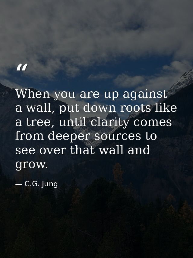 When you are up against a wall, put down roots like a tree, until clarity comes from deeper sources to see over that wal — C.G. Jung