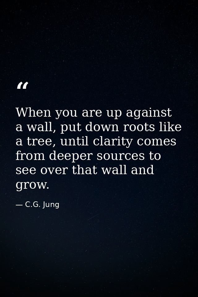 When you are up against a wall, put down roots like a tree, until clarity comes from deeper sources to see over that wal — C.G. Jung