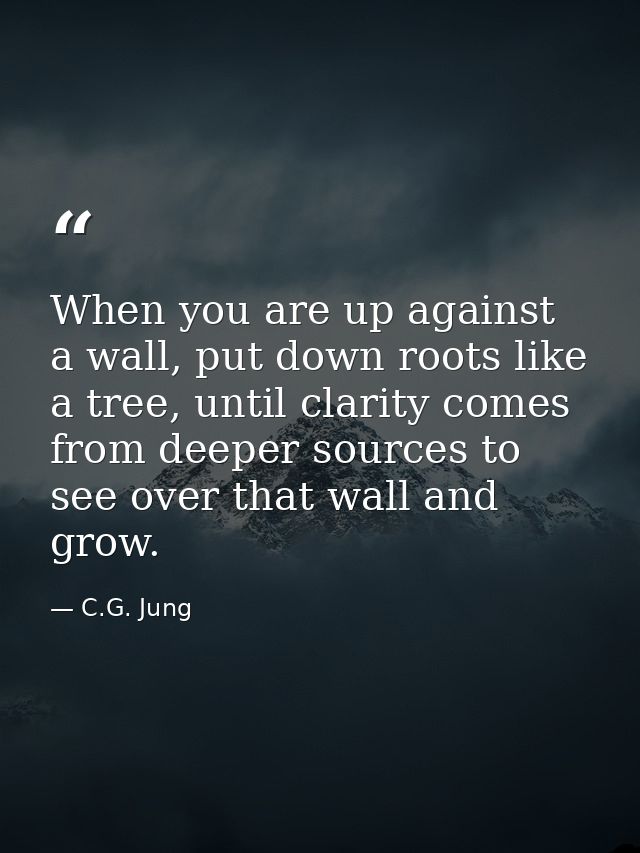 When you are up against a wall, put down roots like a tree, until clarity comes from deeper sources to see over that wal — C.G. Jung