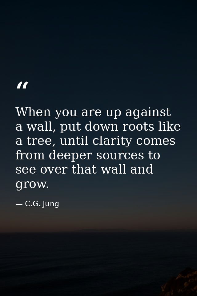 When you are up against a wall, put down roots like a tree, until clarity comes from deeper sources to see over that wal — C.G. Jung