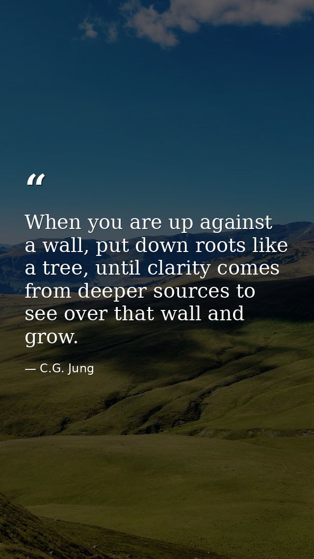 When you are up against a wall, put down roots like a tree, until clarity comes from deeper sources to see over that wal — C.G. Jung