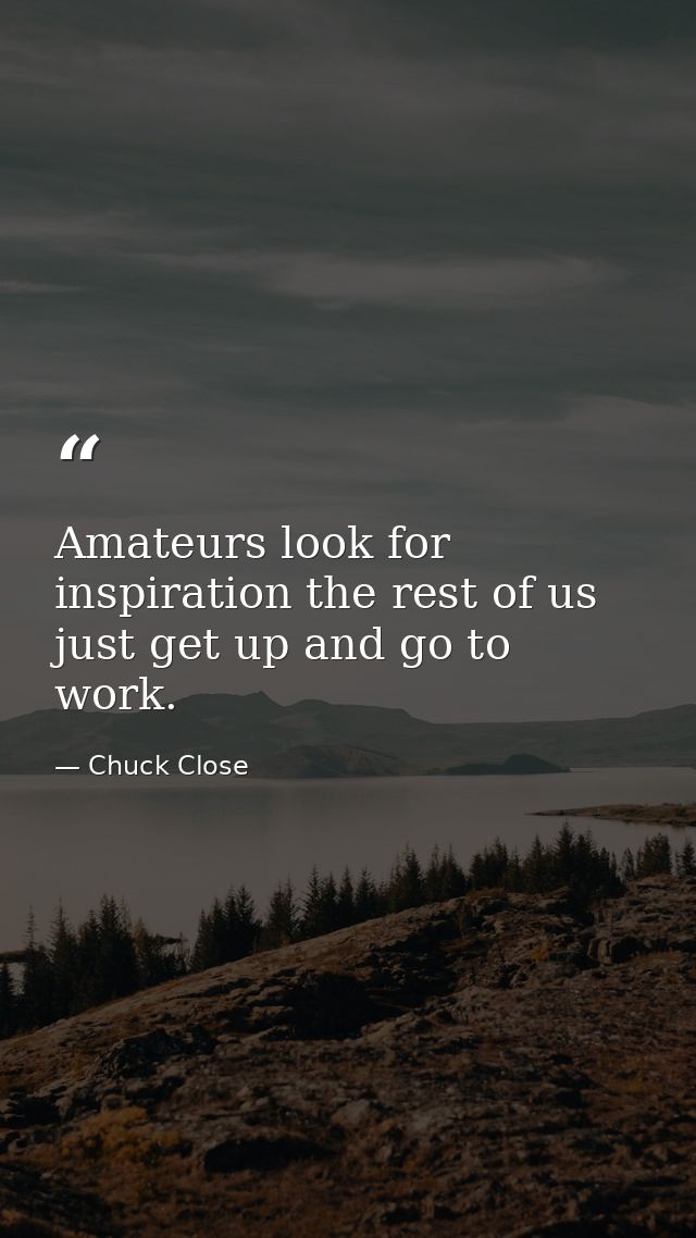 Amateurs look for inspiration the rest of us just get up and go to work. — Chuck Close