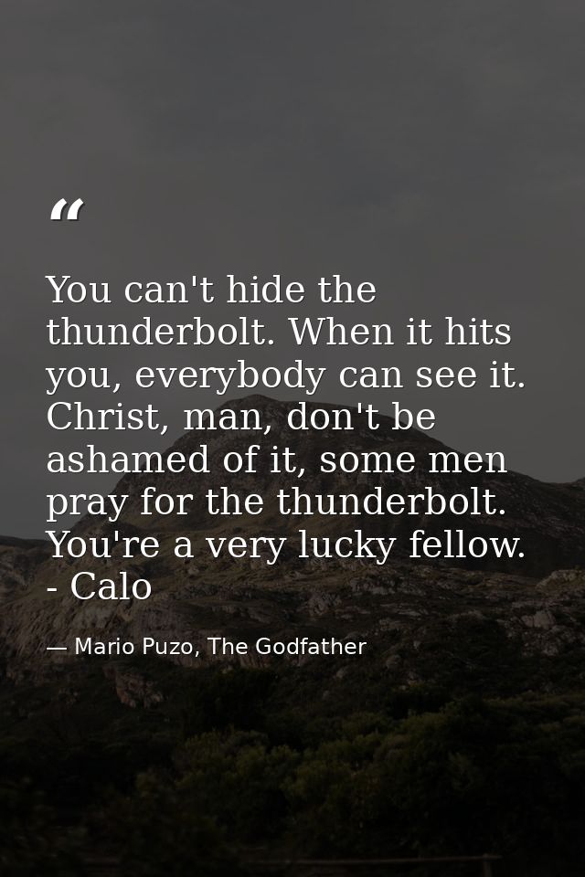 You can't hide the thunderbolt. When it hits you, everybody can see it. Christ, man, don't be ashamed of it, some men pr — Mario Puzo, The Godfather