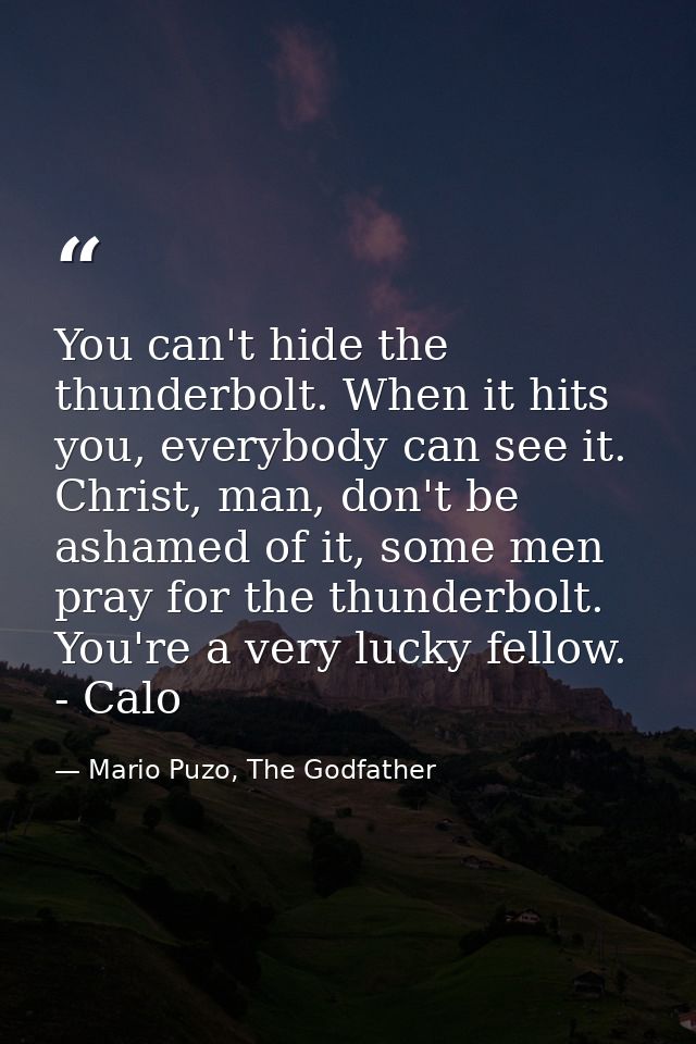 You can't hide the thunderbolt. When it hits you, everybody can see it. Christ, man, don't be ashamed of it, some men pr — Mario Puzo, The Godfather