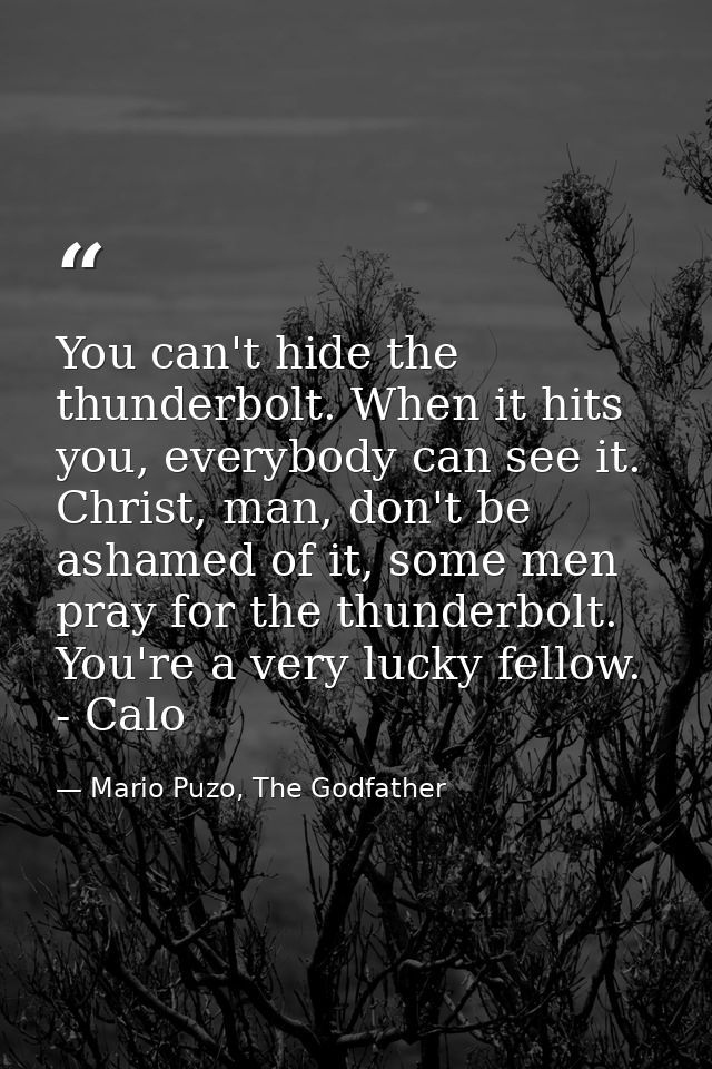 You can't hide the thunderbolt. When it hits you, everybody can see it. Christ, man, don't be ashamed of it, some men pr — Mario Puzo, The Godfather