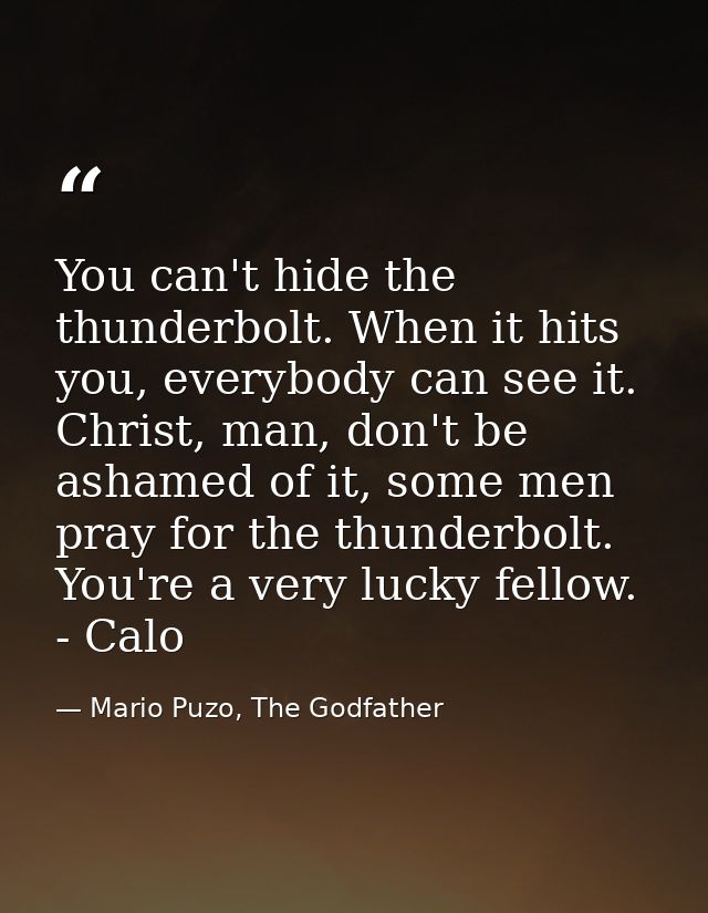You can't hide the thunderbolt. When it hits you, everybody can see it. Christ, man, don't be ashamed of it, some men pr — Mario Puzo, The Godfather