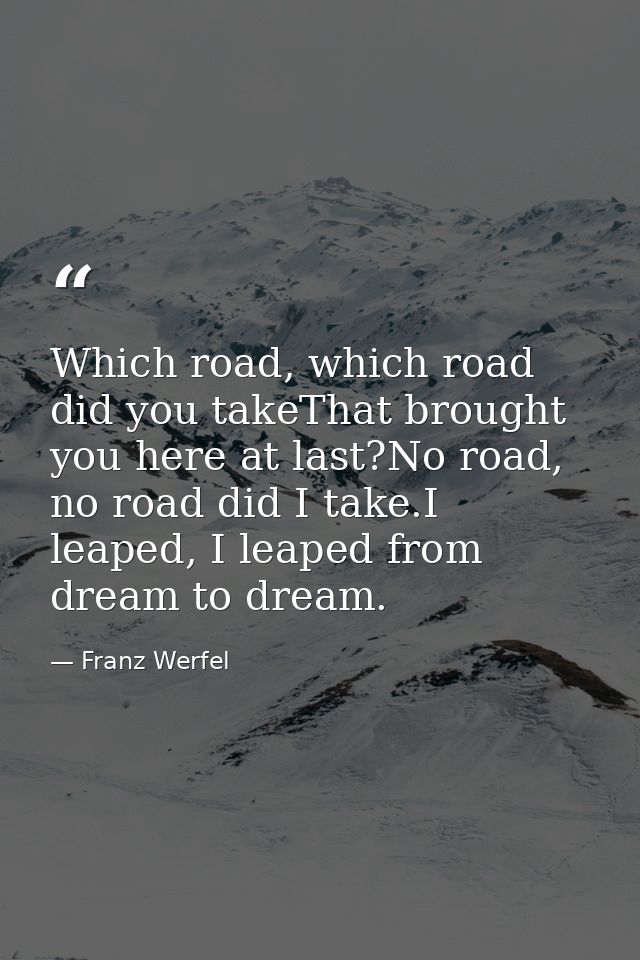 Which road, which road did you takeThat brought you here at last?No road, no road did I take.I leaped, I leaped from dre — Franz Werfel