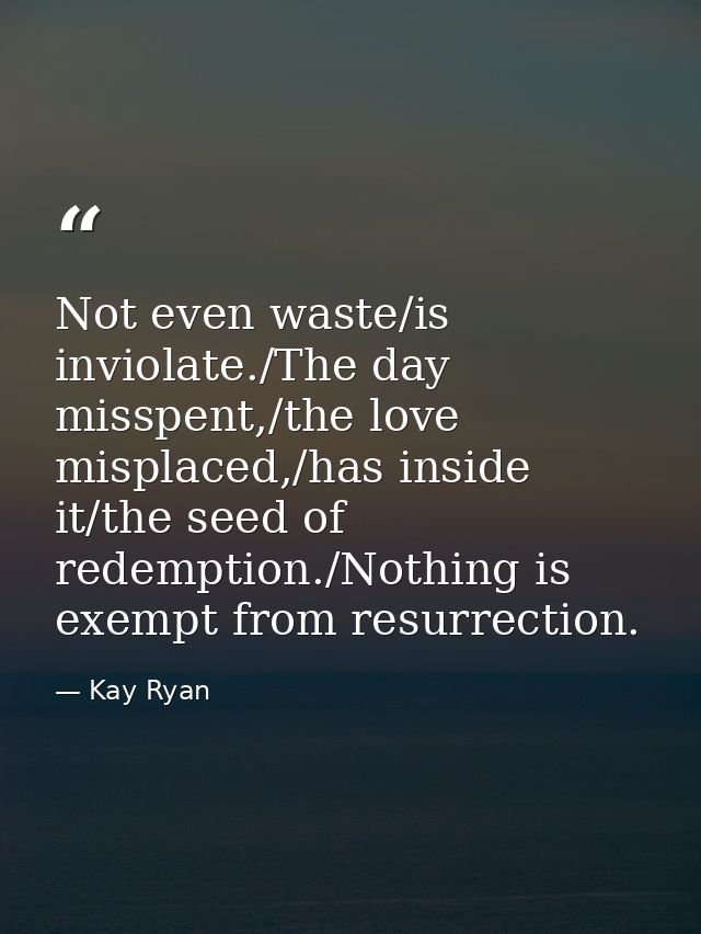 Not even waste/is inviolate./The day misspent,/the love misplaced,/has inside it/the seed of redemption./Nothing is exem — Kay Ryan