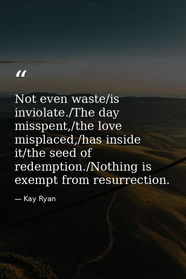 Not even waste/is inviolate./The day misspent,/the love misplaced,/has inside it/the seed of redemption./Nothing is exem — Kay Ryan