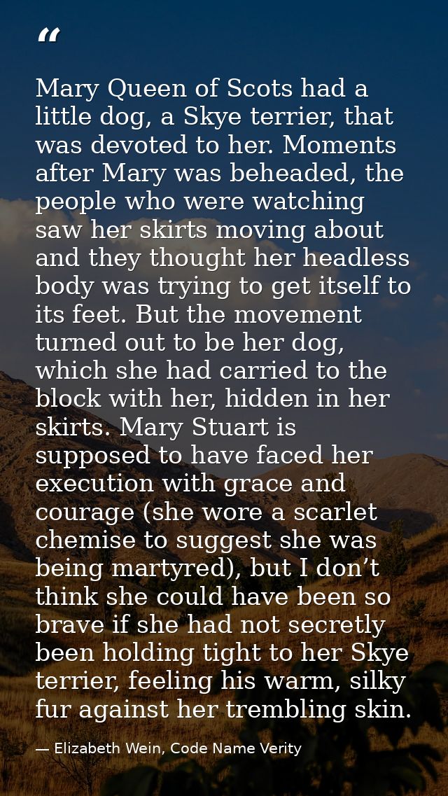 Mary Queen of Scots had a little dog, a Skye terrier, that was devoted to her. Moments after Mary was beheaded, the peop — Elizabeth Wein, Code Name Verity