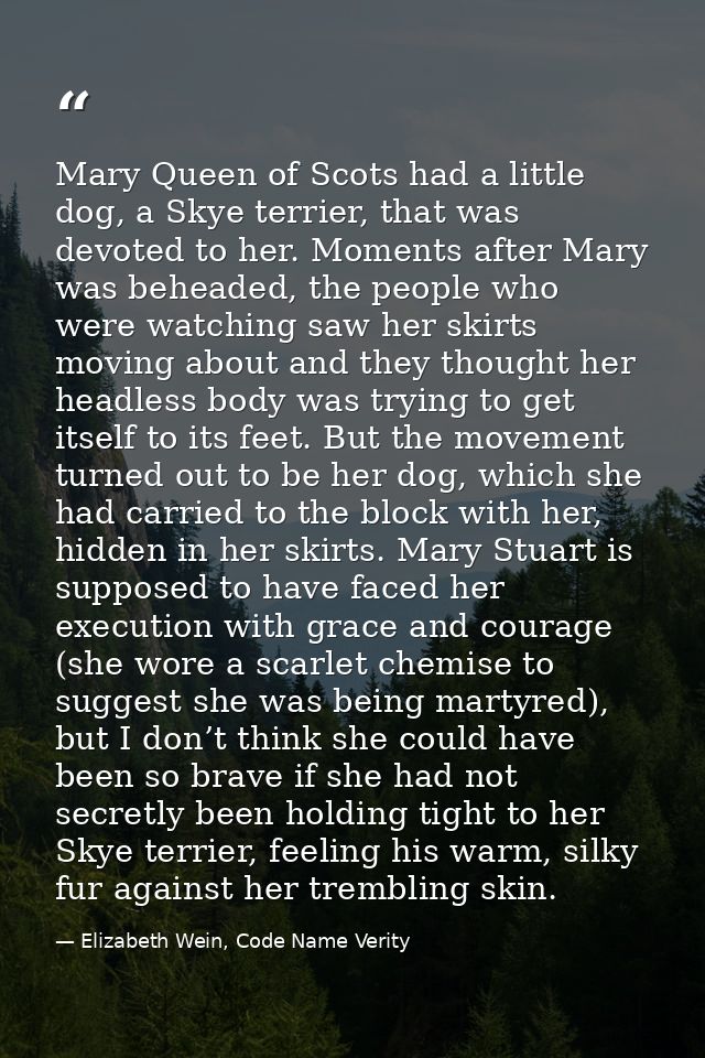 Mary Queen of Scots had a little dog, a Skye terrier, that was devoted to her. Moments after Mary was beheaded, the peop — Elizabeth Wein, Code Name Verity