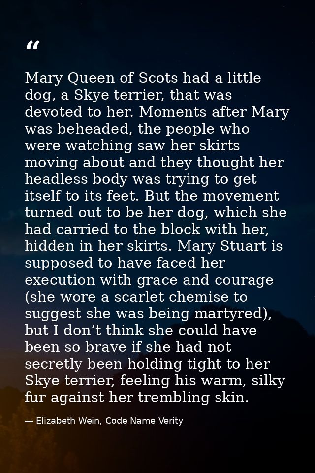 Mary Queen of Scots had a little dog, a Skye terrier, that was devoted to her. Moments after Mary was beheaded, the peop — Elizabeth Wein, Code Name Verity