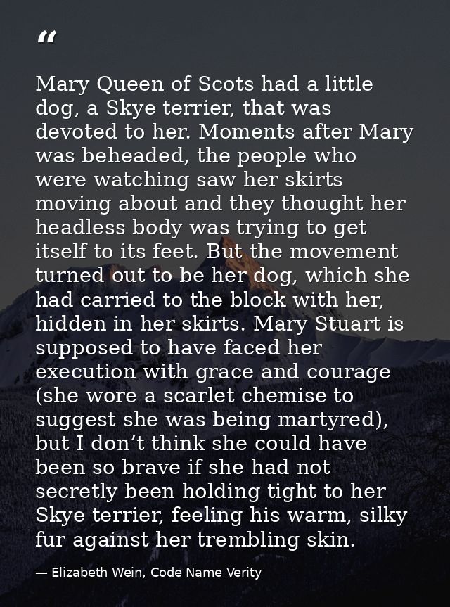 Mary Queen of Scots had a little dog, a Skye terrier, that was devoted to her. Moments after Mary was beheaded, the peop — Elizabeth Wein, Code Name Verity