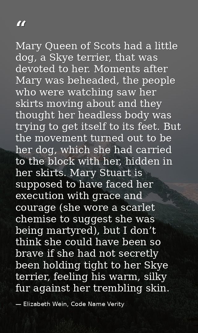 Mary Queen of Scots had a little dog, a Skye terrier, that was devoted to her. Moments after Mary was beheaded, the peop — Elizabeth Wein, Code Name Verity