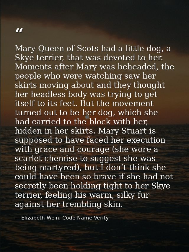 Mary Queen of Scots had a little dog, a Skye terrier, that was devoted to her. Moments after Mary was beheaded, the peop — Elizabeth Wein, Code Name Verity