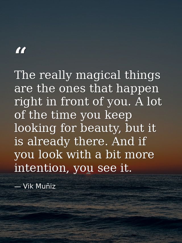 The really magical things are the ones that happen right in front of you. A lot of the time you keep looking for beauty, — Vik Muñiz