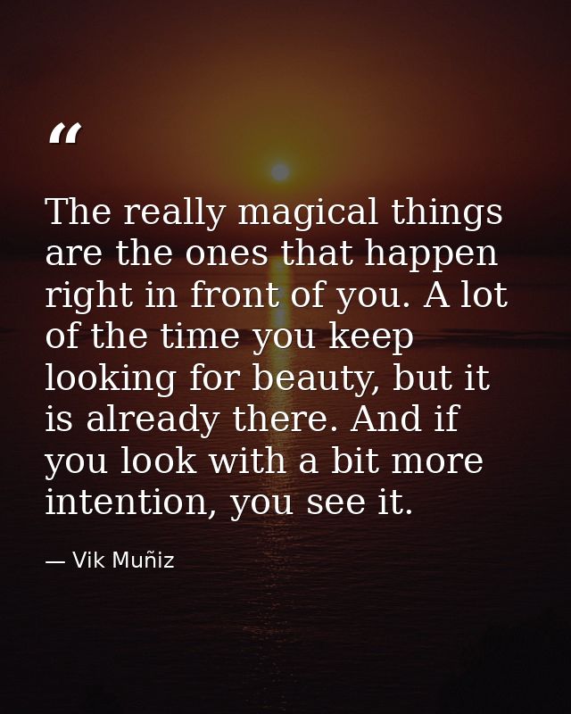The really magical things are the ones that happen right in front of you. A lot of the time you keep looking for beauty, — Vik Muñiz