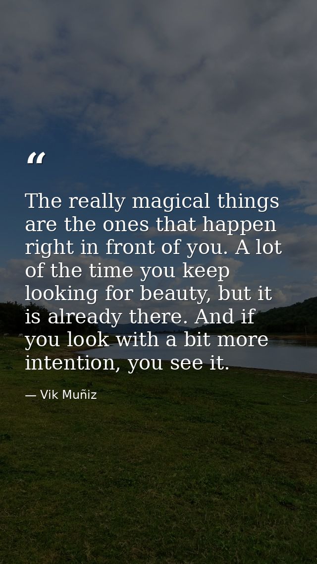 The really magical things are the ones that happen right in front of you. A lot of the time you keep looking for beauty, — Vik Muñiz