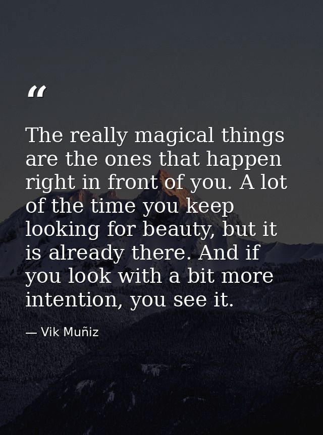 The really magical things are the ones that happen right in front of you. A lot of the time you keep looking for beauty, — Vik Muñiz