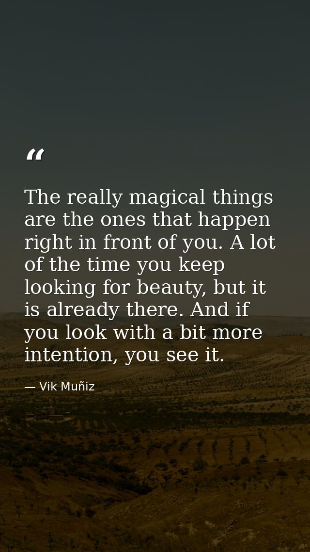 The really magical things are the ones that happen right in front of you. A lot of the time you keep looking for beauty, — Vik Muñiz
