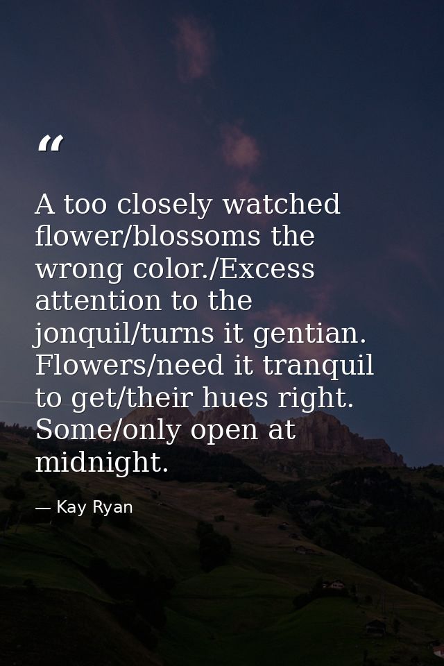 A too closely watched flower/blossoms the wrong color./Excess attention to the jonquil/turns it gentian. Flowers/need it — Kay Ryan