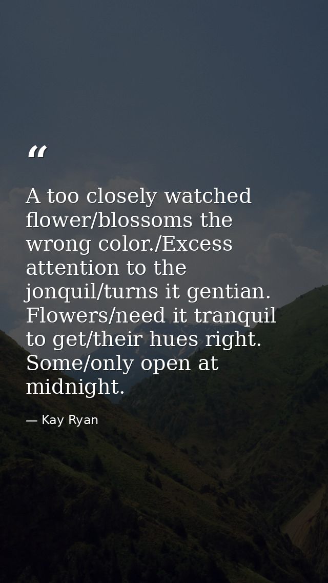 A too closely watched flower/blossoms the wrong color./Excess attention to the jonquil/turns it gentian. Flowers/need it — Kay Ryan