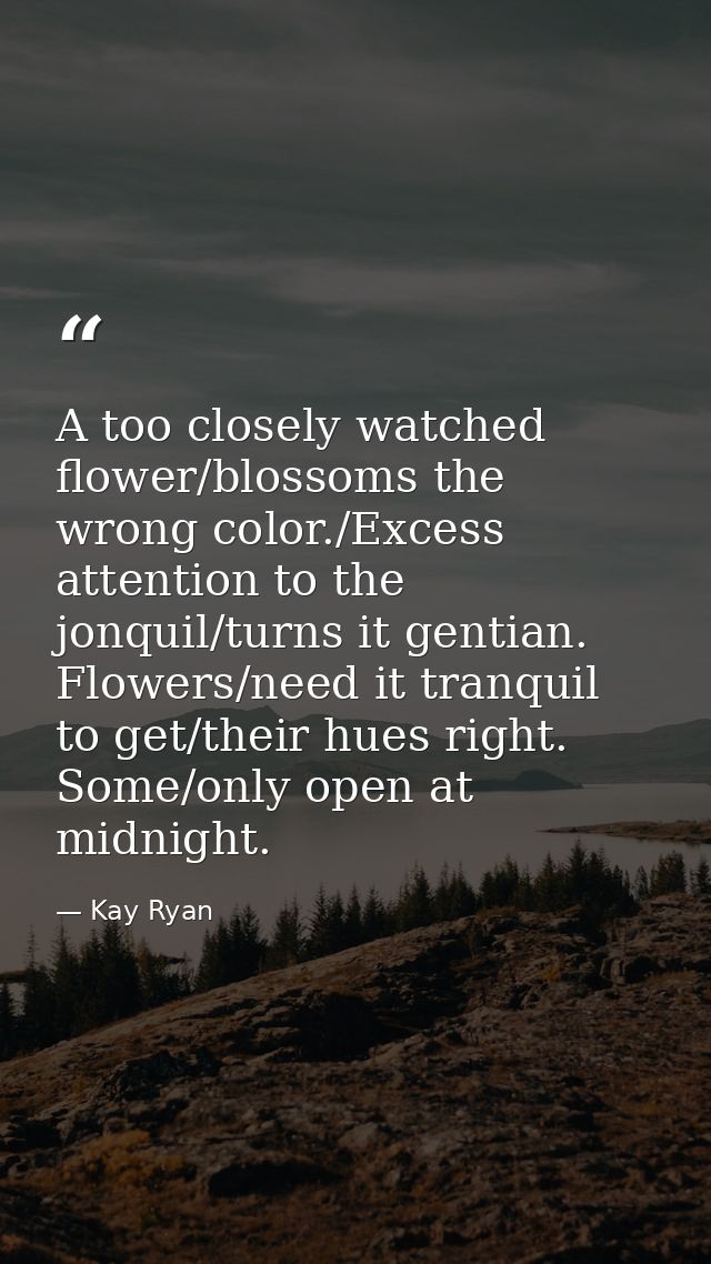 A too closely watched flower/blossoms the wrong color./Excess attention to the jonquil/turns it gentian. Flowers/need it — Kay Ryan