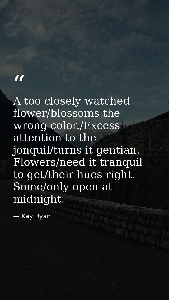 A too closely watched flower/blossoms the wrong color./Excess attention to the jonquil/turns it gentian. Flowers/need it — Kay Ryan