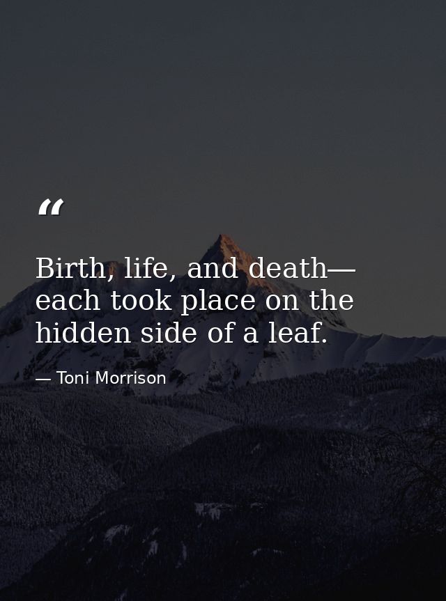 Birth, life, and death― each took place on the hidden side of a leaf. — Toni Morrison
