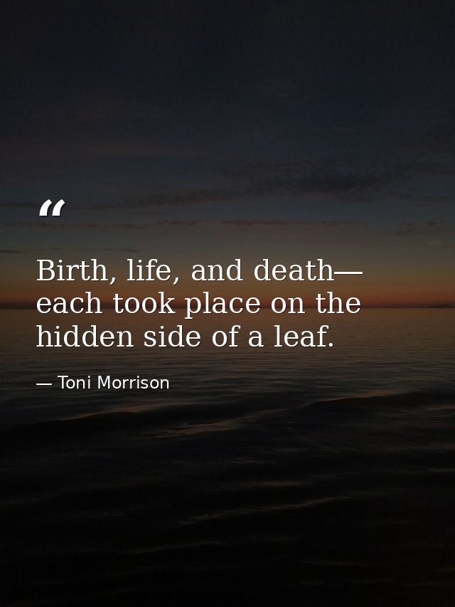 Birth, life, and death― each took place on the hidden side of a leaf. — Toni Morrison