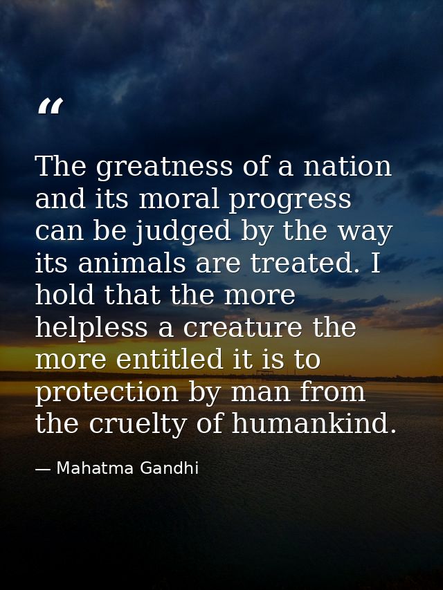 The greatness of a nation and its moral progress can be judged by the way its animals are treated. I hold that the more  — Mahatma Gandhi