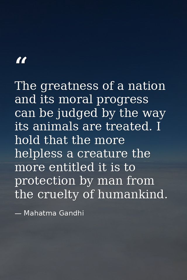 The greatness of a nation and its moral progress can be judged by the way its animals are treated. I hold that the more  — Mahatma Gandhi