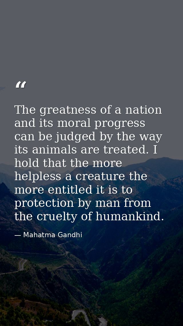 The greatness of a nation and its moral progress can be judged by the way its animals are treated. I hold that the more  — Mahatma Gandhi
