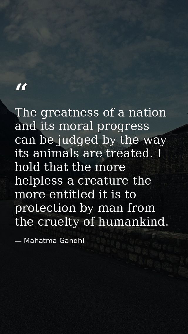 The greatness of a nation and its moral progress can be judged by the way its animals are treated. I hold that the more  — Mahatma Gandhi