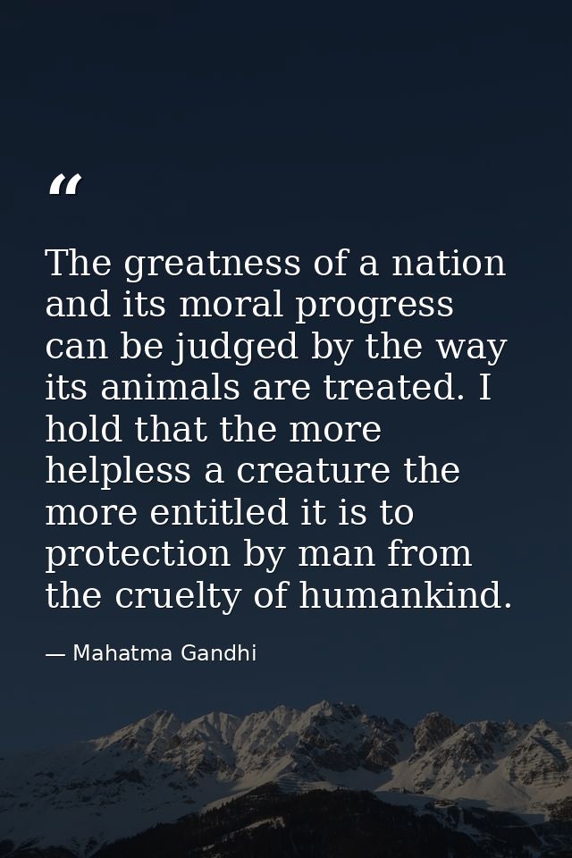 The greatness of a nation and its moral progress can be judged by the way its animals are treated. I hold that the more  — Mahatma Gandhi