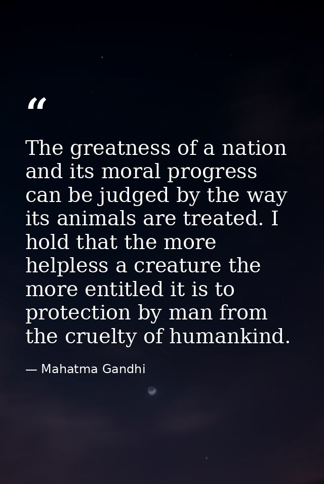 The greatness of a nation and its moral progress can be judged by the way its animals are treated. I hold that the more  — Mahatma Gandhi