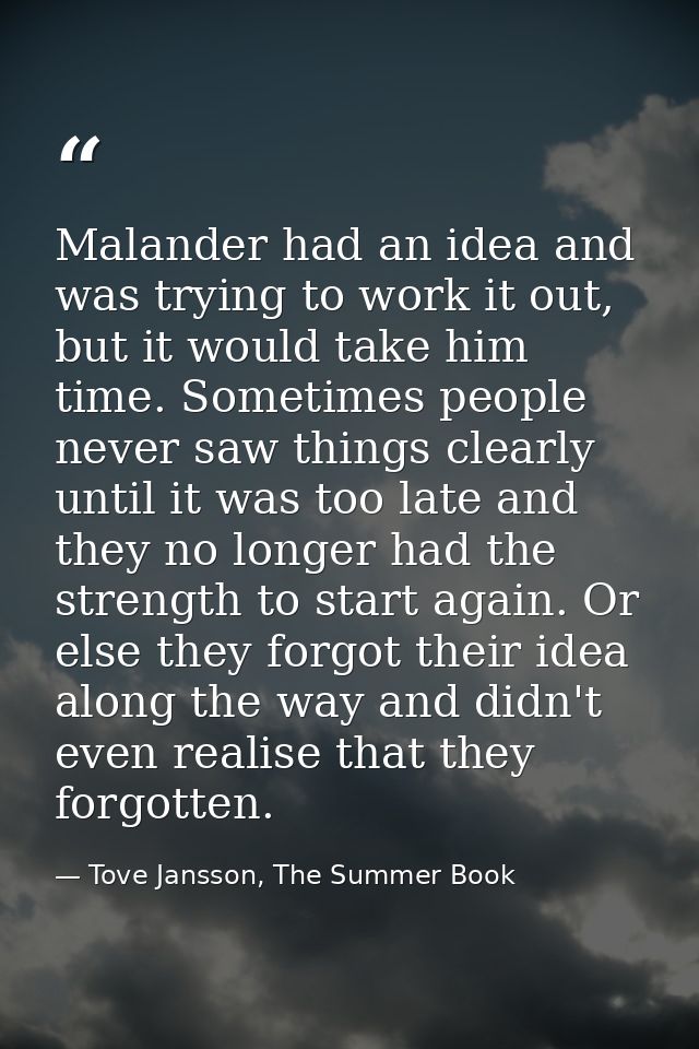 Malander had an idea and was trying to work it out, but it would take him time. Sometimes people never saw things clearl — Tove Jansson, The Summer Book