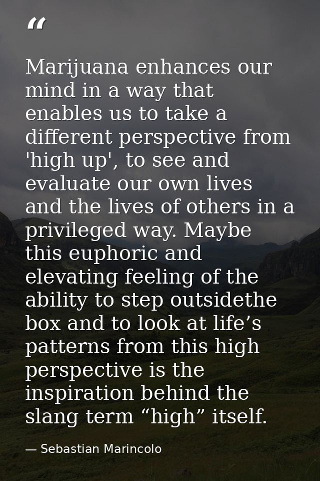 Marijuana enhances our mind in a way that enables us to take a different perspective from 'high up', to see and evaluate — Sebastian Marincolo