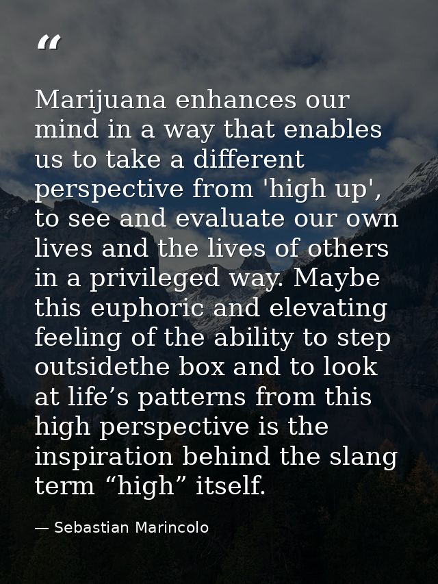 Marijuana enhances our mind in a way that enables us to take a different perspective from 'high up', to see and evaluate — Sebastian Marincolo