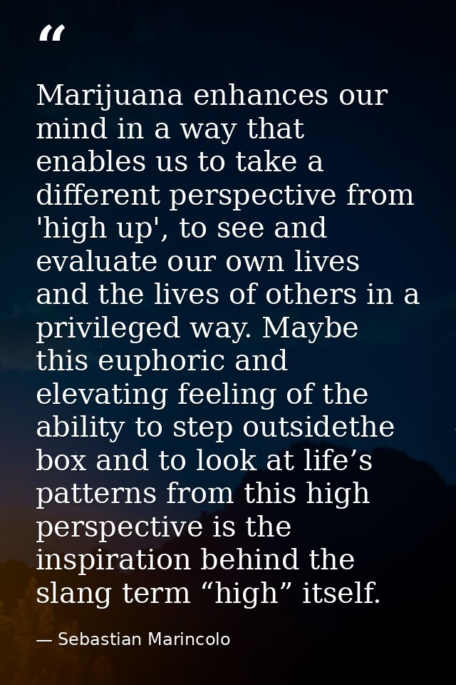 Marijuana enhances our mind in a way that enables us to take a different perspective from 'high up', to see and evaluate — Sebastian Marincolo
