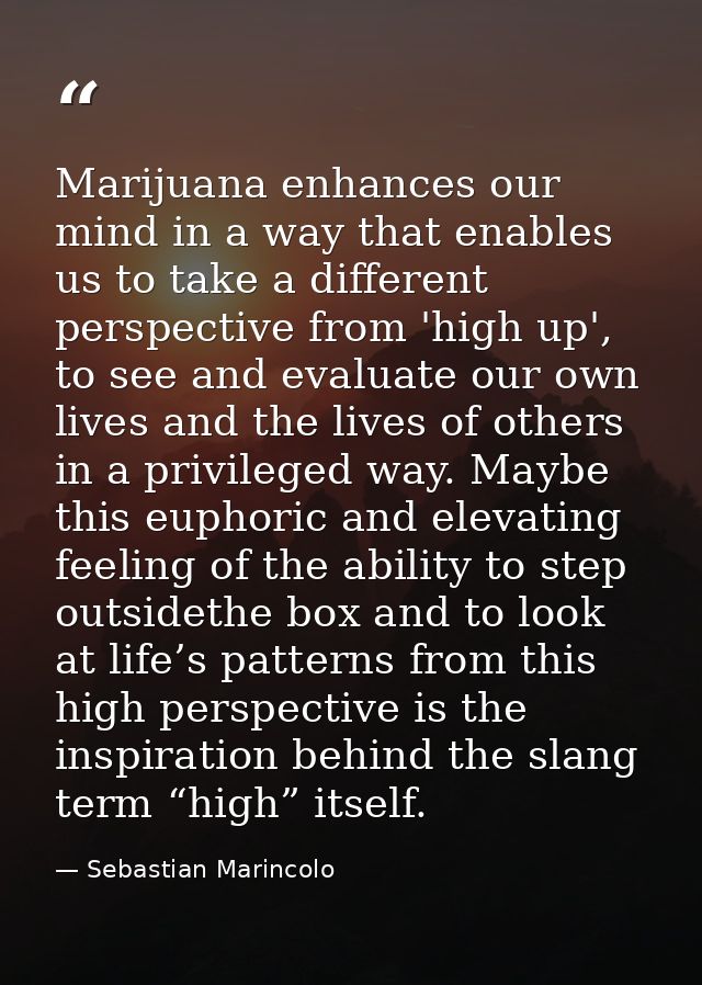 Marijuana enhances our mind in a way that enables us to take a different perspective from 'high up', to see and evaluate — Sebastian Marincolo