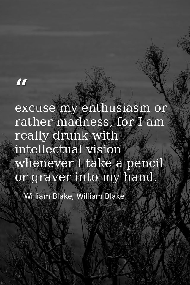 excuse my enthusiasm or rather madness, for I am really drunk with intellectual vision whenever I take a pencil or grave — William Blake, William Blake