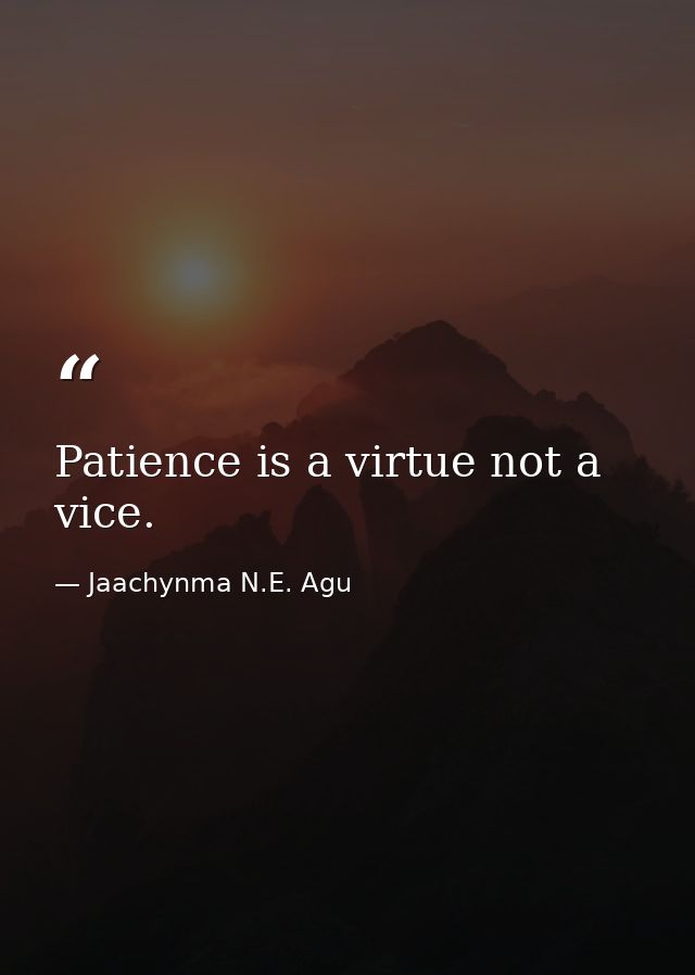 Patience is a virtue not a vice. — Jaachynma N.E. Agu